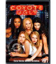 DVD - COYOTE UGLY - USADO