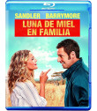 DVD - LUNA DE MIEL EN FAMILIA - USADA