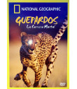 DVD - NATIONAL GEOGRAPHIC (GUEPARDOS LA CARRRERA MORTAL)