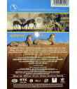 DVD - NATIONAL GEOGRAPHIC (GUEPARDOS LA CARRRERA MORTAL)