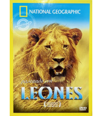 DVD - NATIONAL GEOGRAPHIC (PASEANDO CON LEONES)