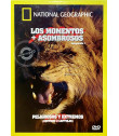 DVD - NATIONAL GEOGRAPHIC (LOS MOMENTOS + ASOMBROSOS TEMPORADA 1)