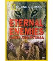 DVD - NATIONAL GEOGRAPHIC (ETERNAL ENEMIES LIONS AND HYENAS)